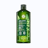 Yves Rocher PFLANZENPFLEGE HAARE kräftigendes Shampoo, Haar-Shampoo gegen Haarausfall, kräftigt & stärkt, 1 x Flacon 300 ml