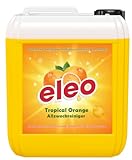 5L Allzweckreiniger | pH-neutrales Reinigungskonzentrat für alle wasserfesten Oberflächen | hygienische Sauberkeit & intensive Frische (Tropical Orange)