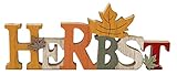 LB H&F Schriftzug Herbst zum hinstellen Holz Herbstblätter Blätter Natur 30 cm Gross Herbstdeko (Blatt)
