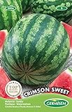 Wassermelone Crimson Sweet
