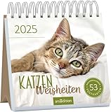 Postkartenkalender Katzenweisheiten 2025: Dekorativer Tischkalender 2025 für Katzenfans, mit 53 Postkarten