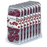 64 Stück Bolsius AROMATIC Wax Melts Wachs Duft Schmelzblüten Düfte (8x8er) (Cranberry W89)
