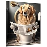 DARO Design - Toiletten-Bild auf 6mm HDF 30x20 cm Golden Retriever Hund auf WC - Wand-Deko Bilder Lustiges Geschenk