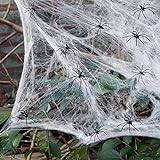 Halloween Deko,Halloween Spinnennetz Dekoration,100g Dehnbare Spinnennetz Halloween Dekoration mit 30 künstlichen Spinnen für Halloween Dekorationen,Spukhaus-Dekoration,Gruselszene, Partyzubehör