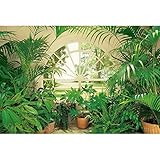 Wintergarten Fototapete in Grün | Pflanzen Fototapete mit Fensterblick auf Garten | 3D Tapete mit Fenster ideal für Schlafzimmer und Wohnzimmer